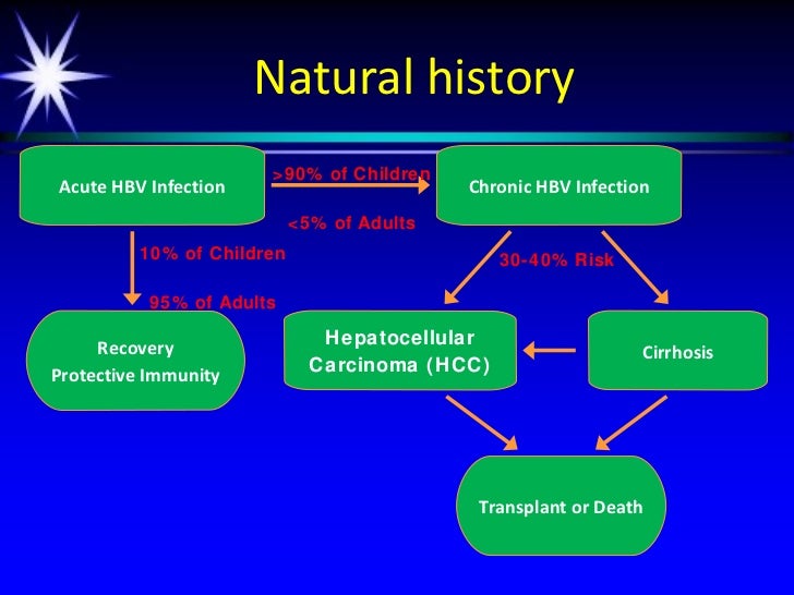 Natural History Of Acute Hepatitis B Natural History Of Acute Hepatitis B