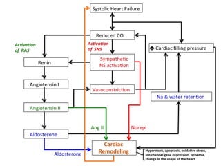 congestive heart failure in the work of GP.pptx