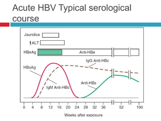 Chronic hepatitis | PPTX