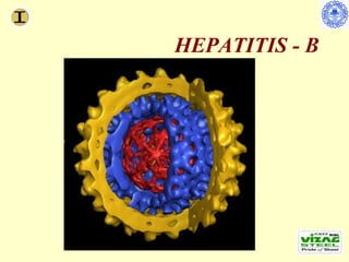 HEPATITIS - B
 
