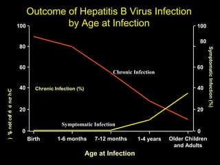 Outcome of Hepatitis B Virus Infection
                        100         by Age at Infection                                          100

                                                                                                  80
                        80




                                                                                                        Symptomatic Infection (%)
                        60                                                                       60
                                                                 Chronic Infection

                        40      Chronic Infection (%)                                            40
) % not ce n c no h C
  ( i f I i r




                        20                                                                       20

                                           Symptomatic Infection
                         0                                                                        0
                             Birth       1-6 months        7-12 months     1-4 years   Older Children
                                                                                        and Adults
                                                        Age at Infection
 