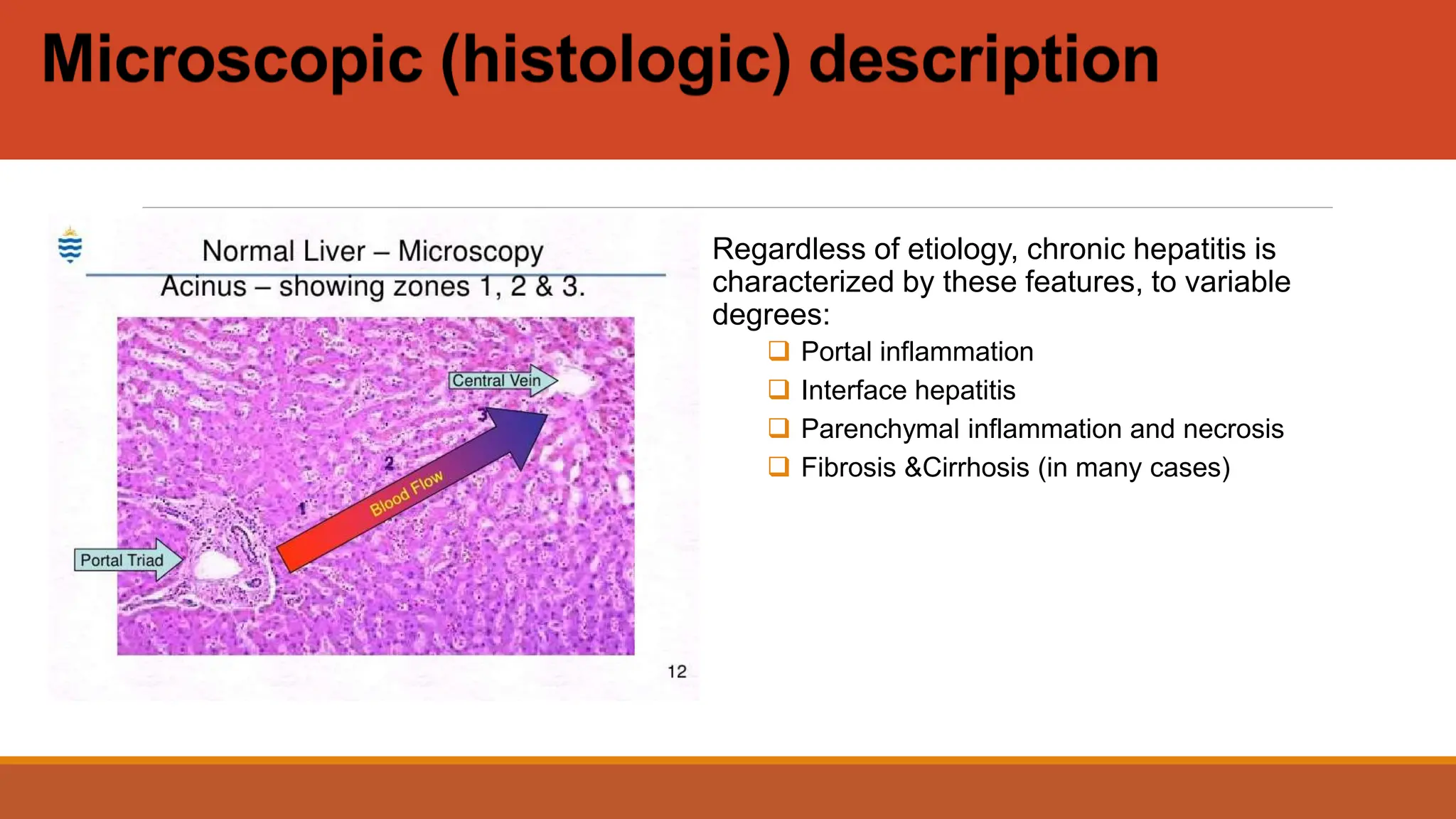 Laylow Lobble Proteomik Somadel Hep Many Reference: Chronic Hepatitis A Comprehensive Lecture Pptx