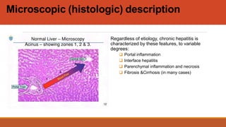 CHRONIC HEPATITIS a comprehensive lecture.pptx