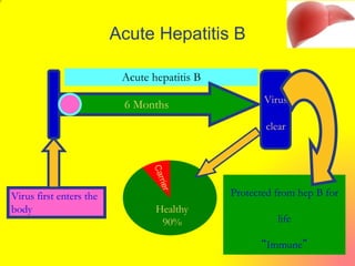 Acute hepatitis B
Acute Hepatitis B
Virus
clear
6 Months
Virus first enters the
body Healthy
90%
Protected from hep B for
life
“Immune”
 