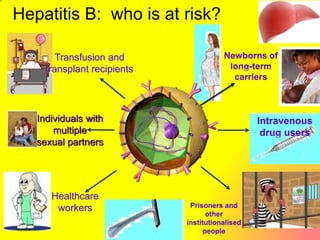 Transfusion and
transplant recipients
Individuals with
multiple
sexual partners
Healthcare
workers
Hepatitis B: who is at risk?
 
