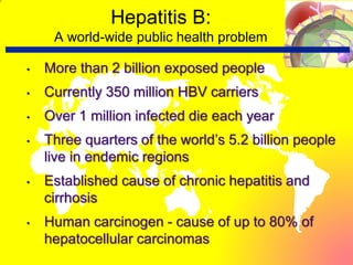 Hepatitis B:
A world-wide public health problem
• More than 2 billion exposed people
• Currently 350 million HBV carriers
• Over 1 million infected die each year
• Three quarters of the world’s 5.2 billion people
live in endemic regions
• Established cause of chronic hepatitis and
cirrhosis
• Human carcinogen - cause of up to 80% of
hepatocellular carcinomas
 