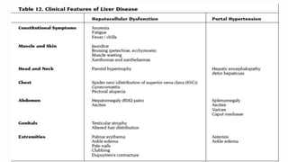 Chronic hepatitis b | PPTX