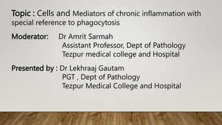 Topic : Cells and Mediators of chronic inflammation with
special reference to phagocytosis
Moderator: Dr Amrit Sarmah
Assistant Professor, Dept of Pathology
Tezpur medical college and Hospital
Presented by : Dr Lekhraaj Gautam
PGT , Dept of Pathology
Tezpur Medical College and Hospital
 