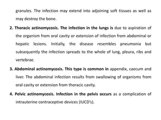 granules. The infection may extend into adjoining soft tissues as well as
may destroy the bone.
2. Thoracic actinomycosis. The infection in the lungs is due to aspiration of
the organism from oral cavity or extension of infection from abdominal or
hepatic lesions. Initially, the disease resembles pneumonia but
subsequently the infection spreads to the whole of lung, pleura, ribs and
vertebrae.
3. Abdominal actinomycosis. This type is common in appendix, caecum and
liver. The abdominal infection results from swallowing of organisms from
oral cavity or extension from thoracic cavity.
4. Pelvic actinomycosis. Infection in the pelvis occurs as a complication of
intrauterine contraceptive devices (IUCD’s).
 