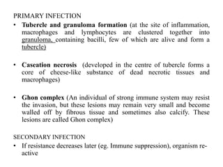 PRIMARY INFECTION
• Tubercle and granuloma formation (at the site of inflammation,
macrophages and lymphocytes are clustered together into
granuloma, containing bacilli, few of which are alive and form a
tubercle)
• Caseation necrosis (developed in the centre of tubercle forms a
core of cheese-like substance of dead necrotic tissues and
macrophages)
• Ghon complex (An individual of strong immune system may resist
the invasion, but these lesions may remain very small and become
walled off by fibrous tissue and sometimes also calcify. These
lesions are called Ghon complex)
SECONDARY INFECTION
• If resistance decreases later (eg. Immune suppression), organism re-
active
 