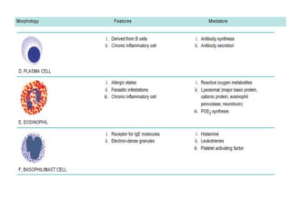 Chronic inflammation