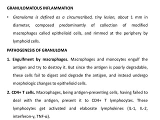 GRANULOMATOUS INFLAMMATION
• Granuloma is defined as a circumscribed, tiny lesion, about 1 mm in
diameter, composed predominantly of collection of modified
macrophages called epithelioid cells, and rimmed at the periphery by
lymphoid cells.
PATHOGENESIS OF GRANULOMA
1. Engulfment by macrophages. Macrophages and monocytes engulf the
antigen and try to destroy it. But since the antigen is poorly degradable,
these cells fail to digest and degrade the antigen, and instead undergo
morphologic changes to epithelioid cells.
2. CD4+ T cells. Macrophages, being antigen-presenting cells, having failed to
deal with the antigen, present it to CD4+ T lymphocytes. These
lymphocytes get activated and elaborate lymphokines (IL-1, IL-2,
interferon-γ, TNF-α).
 
