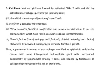 3. Cytokines. Various cytokines formed by activated CD4+ T cells and also by
activated macrophages perform the following roles:
i) IL-1 and IL-2 stimulate proliferation of more T cells.
ii) Interferon-γ activates macrophages.
iii) TNF-α promotes fibroblast proliferation and activates endothelium to secrete
prostaglandins which have role in vascular response in inflammation.
iv) Growth factors (transforming growth factor-β, platelet derived growth factor)
elaborated by activated macrophages stimulate fibroblast growth.
Thus, a granuloma is formed of macrophages modified as epithelioid cells in the
centre, with some interspersed multinucleate giant cells, surrounded
peripherally by lymphocytes (mainly T cells), and healing by fibroblasts or
collagen depending upon the age of granuloma.
 