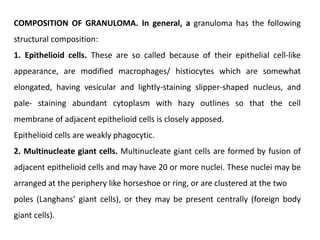 COMPOSITION OF GRANULOMA. In general, a granuloma has the following
structural composition:
1. Epithelioid cells. These are so called because of their epithelial cell-like
appearance, are modified macrophages/ histiocytes which are somewhat
elongated, having vesicular and lightly-staining slipper-shaped nucleus, and
pale- staining abundant cytoplasm with hazy outlines so that the cell
membrane of adjacent epithelioid cells is closely apposed.
Epithelioid cells are weakly phagocytic.
2. Multinucleate giant cells. Multinucleate giant cells are formed by fusion of
adjacent epithelioid cells and may have 20 or more nuclei. These nuclei may be
arranged at the periphery like horseshoe or ring, or are clustered at the two
poles (Langhans’ giant cells), or they may be present centrally (foreign body
giant cells).
 