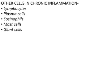 OTHER CELLS IN CHRONIC INFLAMMATION-
• Lymphocytes
• Plasma cells
• Eosinophils
• Mast cells
• Giant cells
 