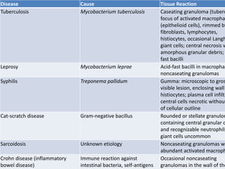 Disease Cause Tissue Reaction
Tuberculosis Mycobacterium tuberculosis Caseating granuloma (tuberc
focus of activated macropha
(epithelioid cells), rimmed by
fibroblasts, lymphocytes,
histiocytes, occasional Langh
giant cells; central necrosis w
amorphous granular debris;
fast bacilli
Leprosy Mycobacterium leprae Acid-fast bacilli in macrophag
noncaseating granulomas
Syphilis Treponema pallidum Gumma: microscopic to gros
visible lesion, enclosing wall
histiocytes; plasma cell infiltr
central cells necrotic without
of cellular outline
Cat-scratch disease Gram-negative bacillus Rounded or stellate granulom
containing central granular d
and recognizable neutrophils
giant cells uncommon
Sarcoidosis Unknown etiology Noncaseating granulomas wi
abundant activated macroph
Crohn disease (inflammatory
bowel disease)
Immune reaction against
intestinal bacteria, self-antigens
Occasional noncaseating
granulomas in the wall of the
 