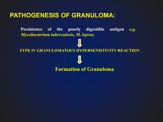 PATHOGENESIS OF GRANULOMA:
Persistence of the poorly digestible antigen e.g.
Mycobacterium tuberculosis, M. leprae.
TYPE IV GRANULOMATOUS HYPERSENSITIVITY REACTION
Formation of Granuloma
 