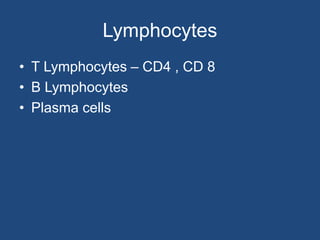 Lymphocytes
• T Lymphocytes – CD4 , CD 8
• B Lymphocytes
• Plasma cells
 