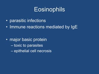 Eosinophils
• parasitic infections
• Immune reactions mediated by IgE
• major basic protein
– toxic to parasites
– epithelial cell necrosis
 