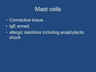 Mast cells
• Connective tissue
• IgE armed
• allergic reactions including anaphylactic
shock
 