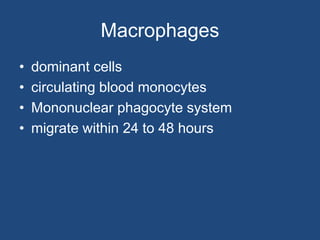 Macrophages
• dominant cells
• circulating blood monocytes
• Mononuclear phagocyte system
• migrate within 24 to 48 hours
 