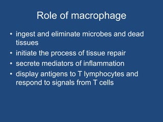 Role of macrophage
• ingest and eliminate microbes and dead
tissues
• initiate the process of tissue repair
• secrete mediators of inflammation
• display antigens to T lymphocytes and
respond to signals from T cells
 