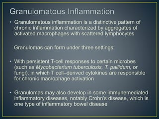 • Granulomatous inflammation is a distinctive pattern of
chronic inflammation characterized by aggregates of
activated macrophages with scattered lymphocytes
Granulomas can form under three settings:
• With persistent T-cell responses to certain microbes
(such as Mycobacterium tuberculosis, T. pallidum, or
fungi), in which T cell–derived cytokines are responsible
for chronic macrophage activation
• Granulomas may also develop in some immunemediated
inflammatory diseases, notably Crohn’s disease, which is
one type of inflammatory bowel disease
 