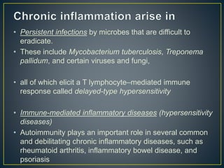 • Persistent infections by microbes that are difficult to
eradicate.
• These include Mycobacterium tuberculosis, Treponema
pallidum, and certain viruses and fungi,
• all of which elicit a T lymphocyte–mediated immune
response called delayed-type hypersensitivity
• Immune-mediated inflammatory diseases (hypersensitivity
diseases)
• Autoimmunity plays an important role in several common
and debilitating chronic inflammatory diseases, such as
rheumatoid arthritis, inflammatory bowel disease, and
psoriasis
 