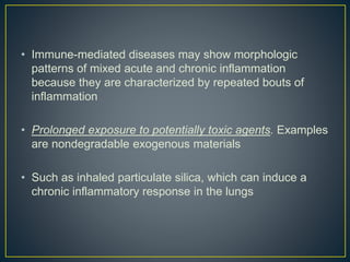 • Immune-mediated diseases may show morphologic
patterns of mixed acute and chronic inflammation
because they are characterized by repeated bouts of
inflammation
• Prolonged exposure to potentially toxic agents. Examples
are nondegradable exogenous materials
• Such as inhaled particulate silica, which can induce a
chronic inflammatory response in the lungs
 