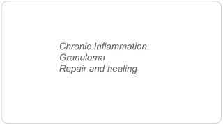 Chronic Inflammation
Granuloma
Repair and healing
 