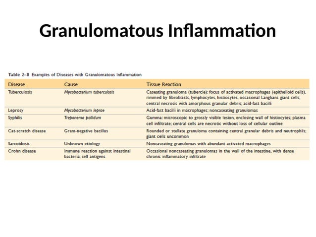 Chronic Inflammation.pptx...mmmmmm...... | PPT