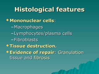 Histological features
Histological features
 Mononuclear cells
Mononuclear cells:
:
–Macrophages
Macrophages
–Lymphocytes/plasma cells
Lymphocytes/plasma cells
–Fibroblasts
Fibroblasts
 Tissue destruction
Tissue destruction.
.
 Evidence of repair
Evidence of repair:
: Granulation
Granulation
tissue and
tissue and fibrosis
fibrosis
 