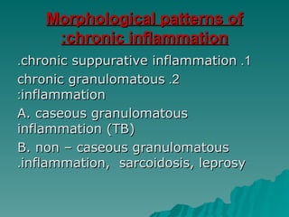 Morphological patterns of
Morphological patterns of
chronic inflammation
chronic inflammation
:
:
1
1
.
.
chronic suppurative inflammation
chronic suppurative inflammation
.
.
2
2
.
.
chronic granulomatous
chronic granulomatous
inflammation
inflammation
:
:
A. caseous granulomatous
A. caseous granulomatous
inflammation (TB)
inflammation (TB)
B. non – caseous granulomatous
B. non – caseous granulomatous
inflammation, sarcoidosis, leprosy
inflammation, sarcoidosis, leprosy
.
.
 