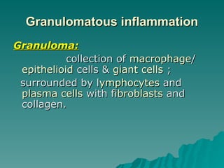 Granulomatous inflammation
Granulomatous inflammation
Granuloma:
Granuloma:
collection of
collection of macrophage
macrophage/
/
epithelioid
epithelioid cells &
cells & giant cells
giant cells ;
;
surrounded by l
surrounded by lymphocytes
ymphocytes and
and
plasma cells
plasma cells with f
with fibroblasts
ibroblasts and
and
collagen.
collagen.
 