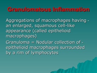Granulomatous Inflammation
Granulomatous Inflammation
-
-
Aggregations of macrophages having
Aggregations of macrophages having
an enlarged, squamous cell-like
an enlarged, squamous cell-like
appearance (called epithelioid
appearance (called epithelioid
macrophages)
macrophages)
-
-
Granuloma = Nodular collection of
Granuloma = Nodular collection of
epithelioid macrophages surrounded
epithelioid macrophages surrounded
by a rim of lymphocytes
by a rim of lymphocytes
 
