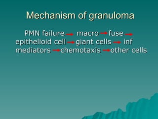 Mechanism of granuloma
Mechanism of granuloma
PMN failure macro fuse
PMN failure macro fuse
epithelioid cell giant cells inf
epithelioid cell giant cells inf
mediators chemotaxis other cells
mediators chemotaxis other cells
 