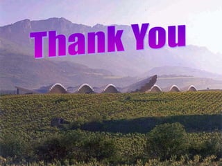 Chronic_inflammation pathology presentation .ppt