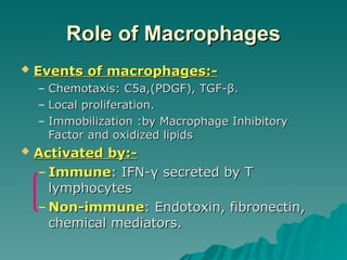 Role
Role of
of Macrophages
Macrophages
 Events of macrophages:-
Events of macrophages:-
– Chemotaxis: C5a,(PDGF), TGF-
Chemotaxis: C5a,(PDGF), TGF-β
β.
.
– Local proliferation.
Local proliferation.
– Immobilization :by Macrophage Inhibitory
Immobilization :by Macrophage Inhibitory
Factor and oxidized lipids
Factor and oxidized lipids
 Activated by:-
Activated by:-
– Immune
Immune: IFN-
: IFN-γ
γ secreted by T
secreted by T
lymphocytes
lymphocytes
– Non-immune
Non-immune: Endotoxin, fibronectin,
: Endotoxin, fibronectin,
chemical mediators.
chemical mediators.
 