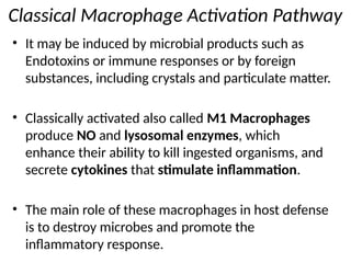 Chronic Inflammation and tissue repair Pathology.pptx