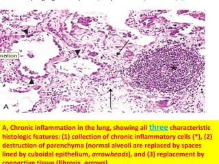 Chronic inflammation