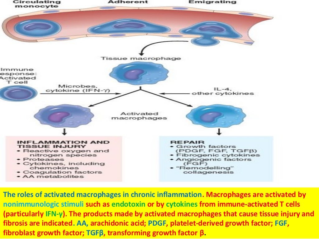 Chronic inflammation