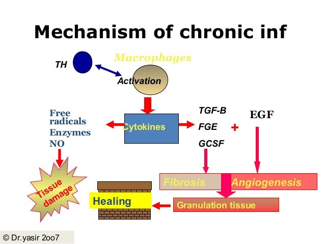 Chronic inflammation