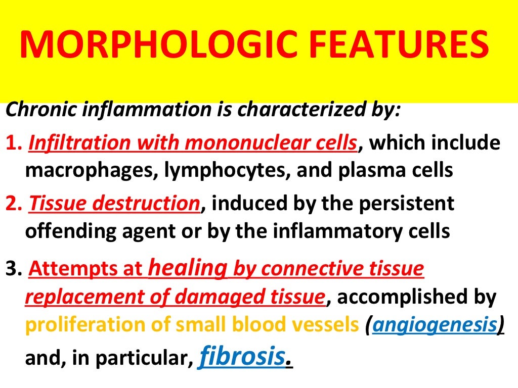 Chronic inflammation