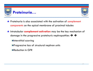  Proteinuria is also associated with the activation of complement
components on the apical membrane of proximal tubules
 Intratubular complement activation may be the key mechanism of
damage in the progressive proteinuric nephropathies  
Interstitial scarring
Progressive loss of structural nephron units
Reduction in GFR
Proteinuria…
17
 Proteinuria is also associated with the activation of complement
components on the apical membrane of proximal tubules
 Intratubular complement activation may be the key mechanism of
damage in the progressive proteinuric nephropathies  
Interstitial scarring
Progressive loss of structural nephron units
Reduction in GFR
 