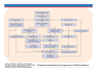 Proposed mechanisms of progression of kidney disease.
 