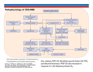 Pathophysiology of CKD-MBD
(Ca, calcium; FGF-23, fibroblast growth factor-23; PTH,
parathyroid hormone.) aFGF-23 also increases in
response to 1,25-dihydroxyvitamin D3.
 