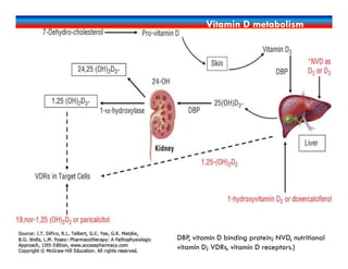 Vitamin D metabolism
DBP, vitamin D binding protein; NVD, nutritional
vitamin D; VDRs, vitamin D receptors.)
 