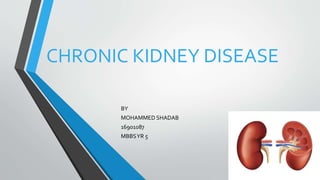CHRONIC KIDNEY DISEASE
BY
MOHAMMED SHADAB
16901087
MBBSYR 5
 