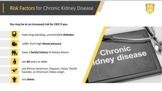 Everything You Need to Know about Chronic Kidney Disease
