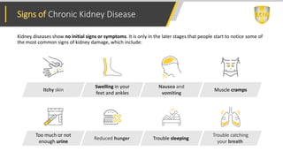 Everything You Need to Know about Chronic Kidney Disease